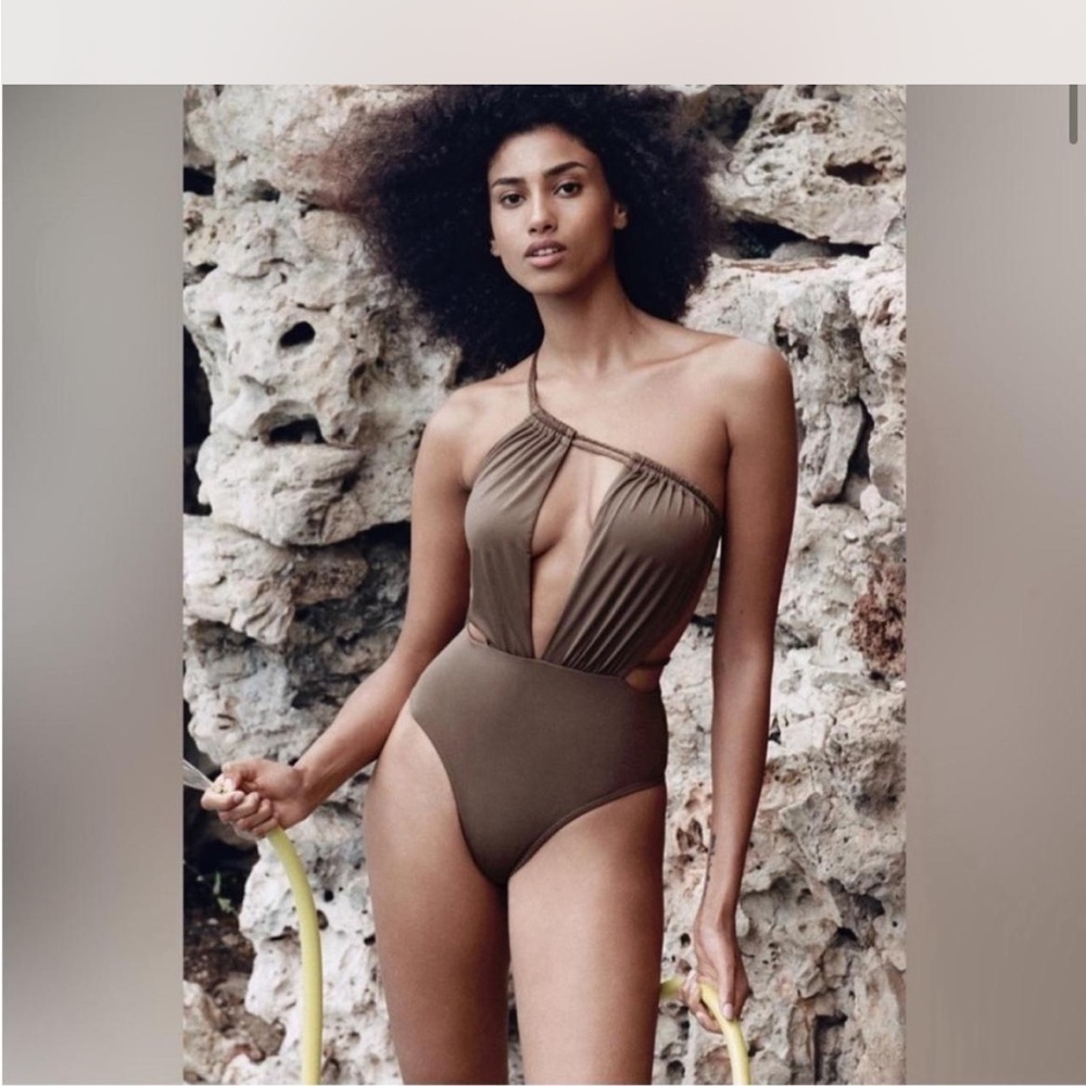Zara Brown One-Piece Swimsuit
